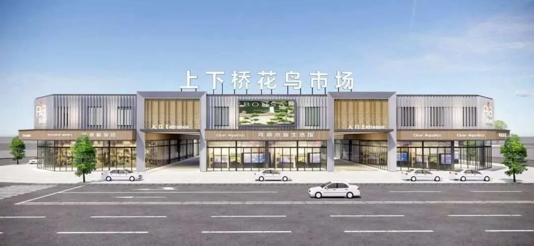 上下桥花鸟市场焕新归来！新春市集抢先亮相