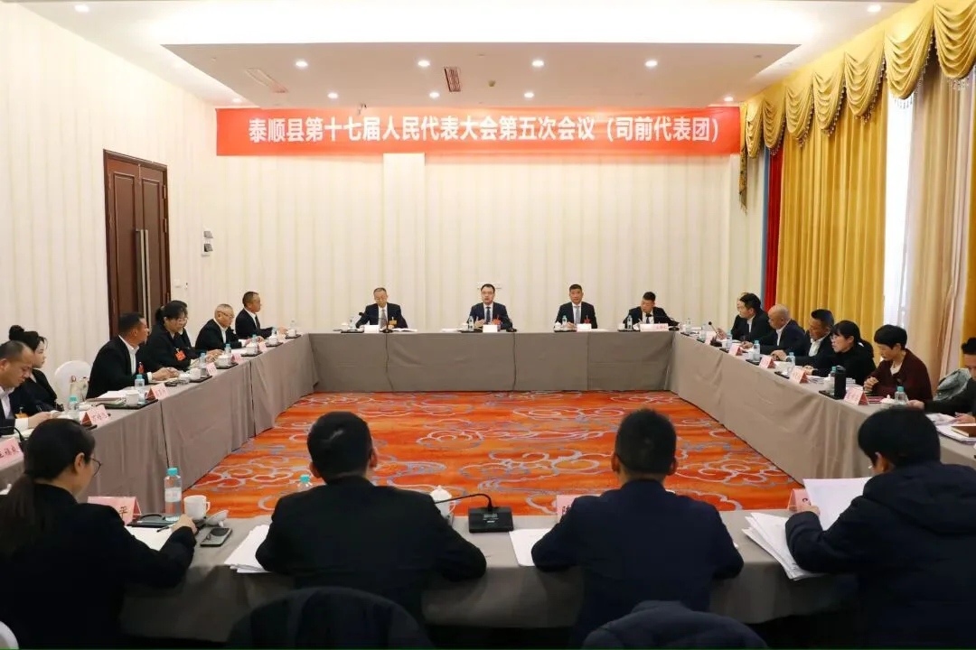 泰顺县委书记张银贵参加司前代表团审议：奋力推动少数民族地区高质量发展