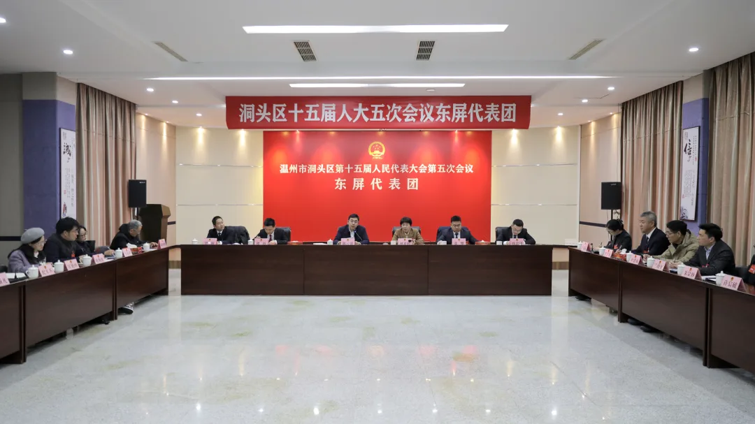 洞头区委书记郭云强参加人大代表团审议