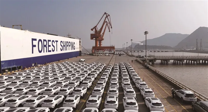 温州口岸首次出口800辆国产新车 创单批出口量新高