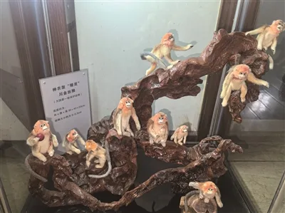 17年匠心坚守 温州七旬老人用皮毛“复活”野生动物世界