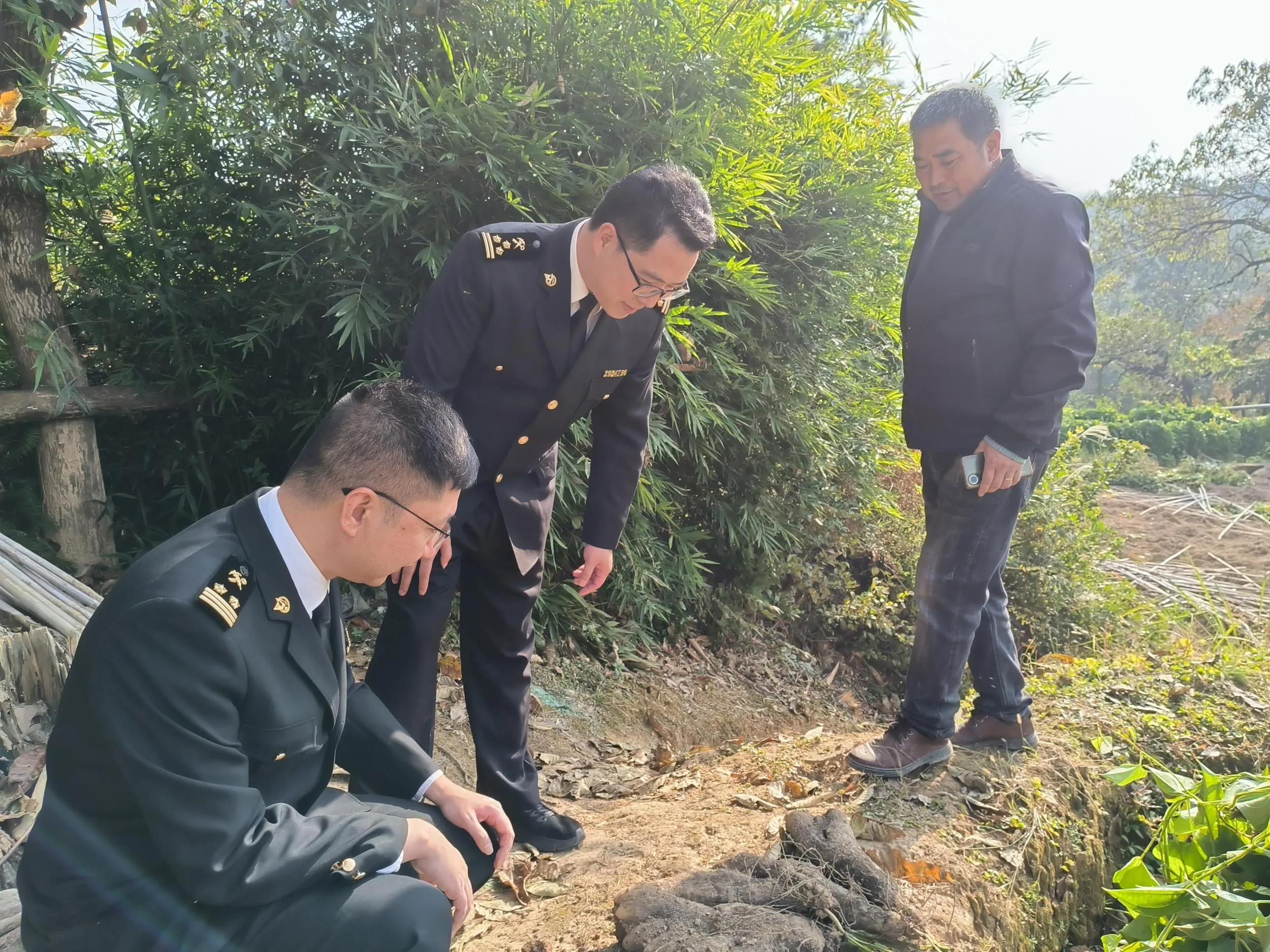 文成冷冻糯米山药首出国门，叩开欧洲市场大门