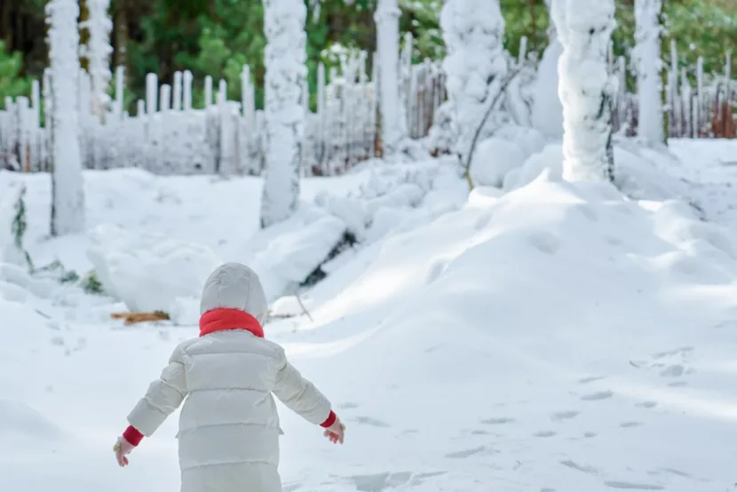 过年在家门口沉浸式玩雪！楠溪江新增一冰雪玩乐好去处