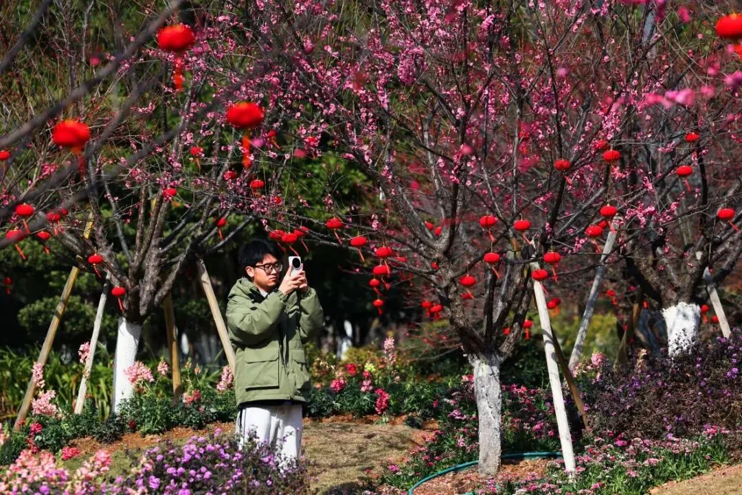 温州这些公园里，藏着拍梅花的宝藏出片机位