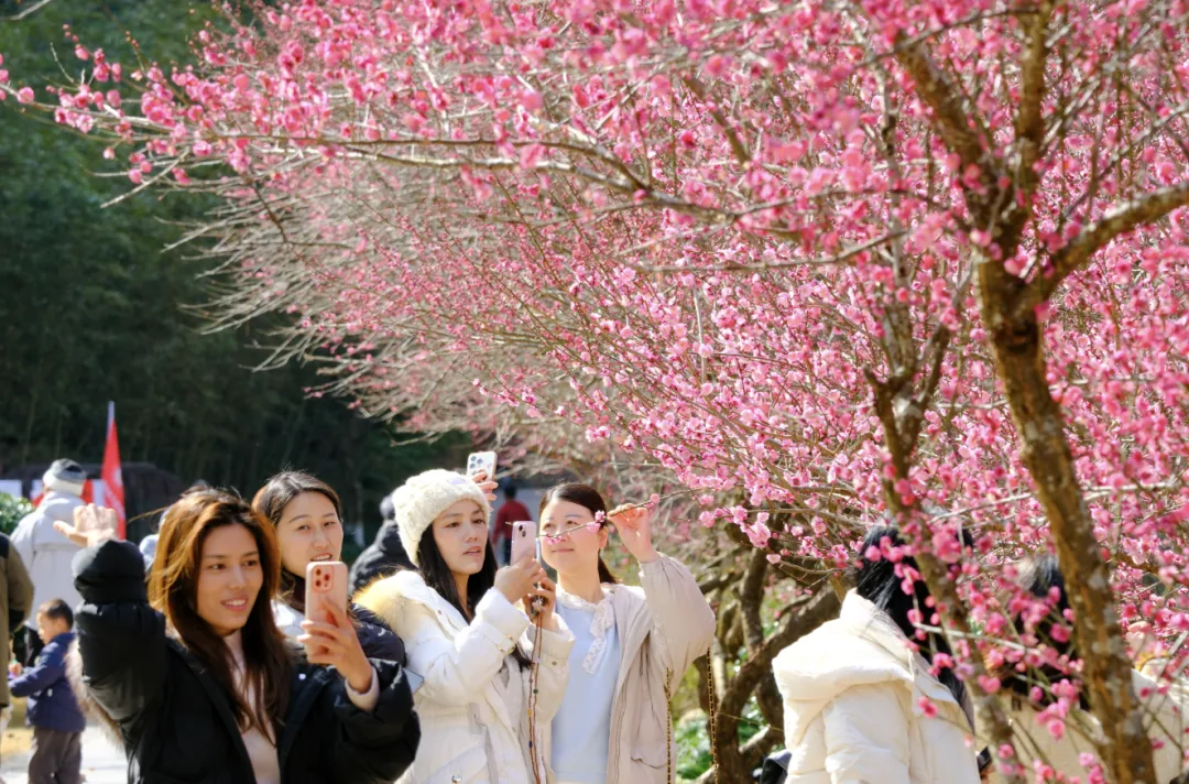 马年开门红！来楠溪江过大宋年，新春人气爆棚！