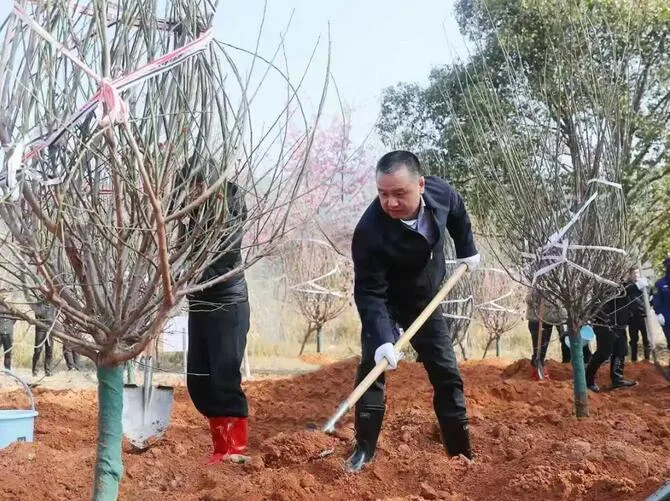 永嘉县领导开展义务植树活动暨人才日活动