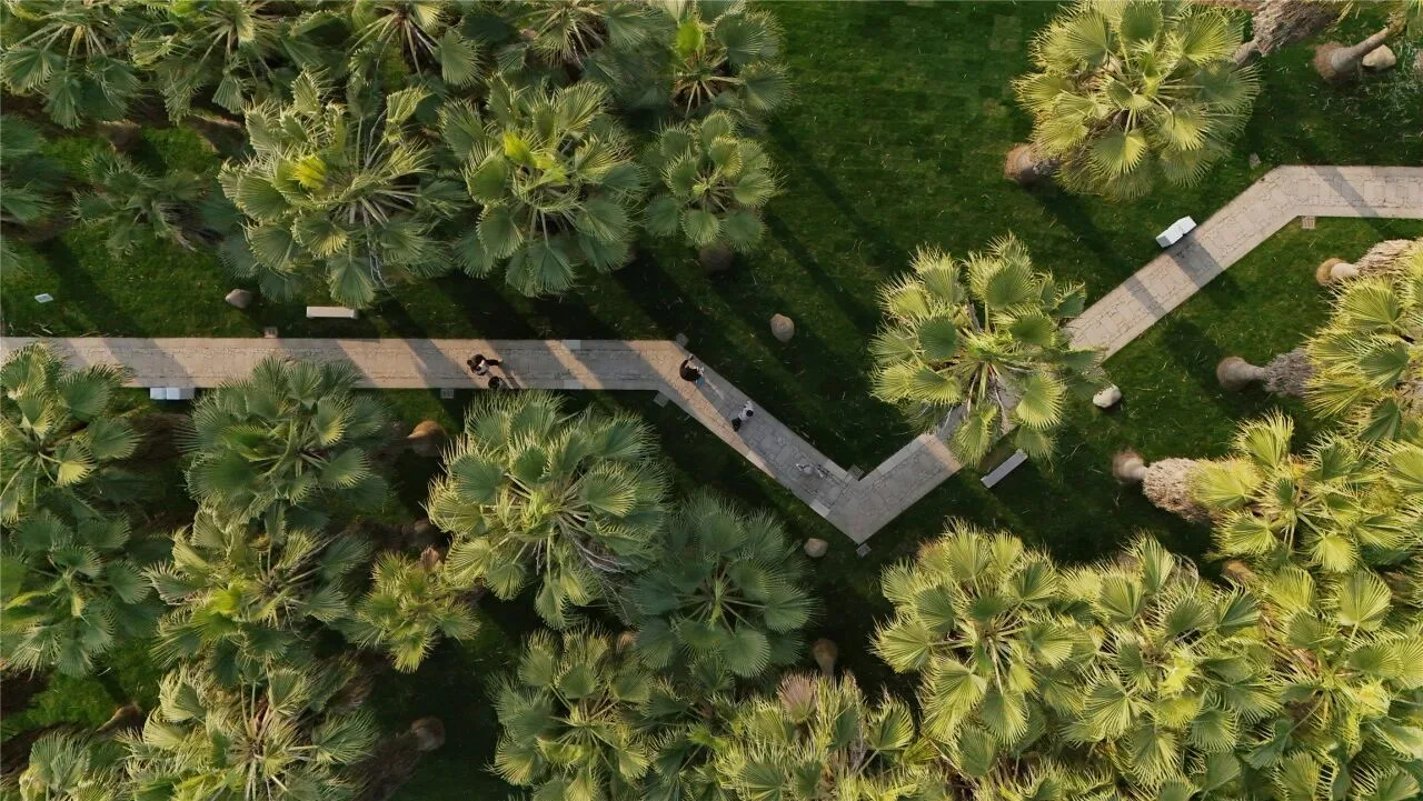 温州乐清：来柳市林宅公园，赴一场春天之约