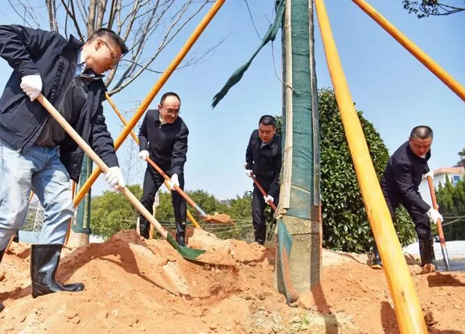 平阳县四套班子领导开展义务植树活动