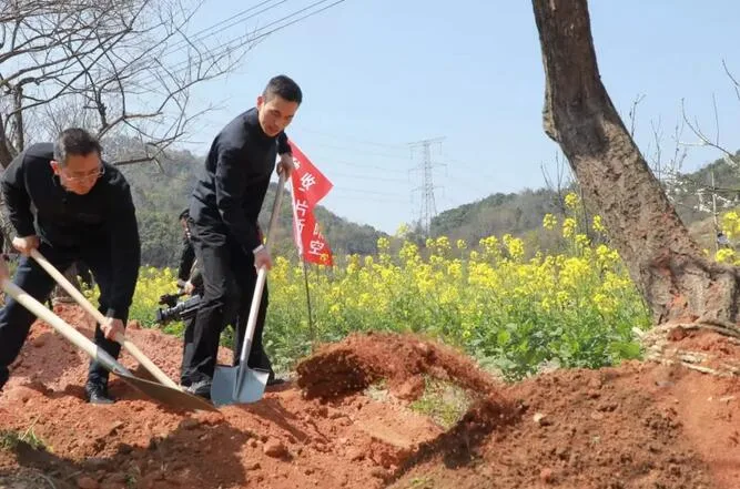 苍南县四套班子领导开展义务植树活动