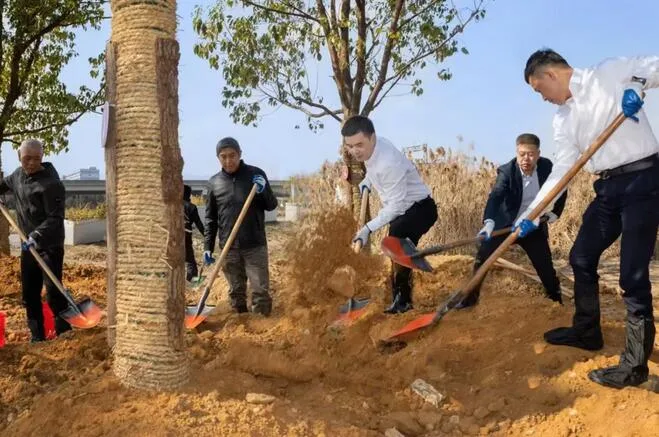 龙湾区领导开展义务植树活动