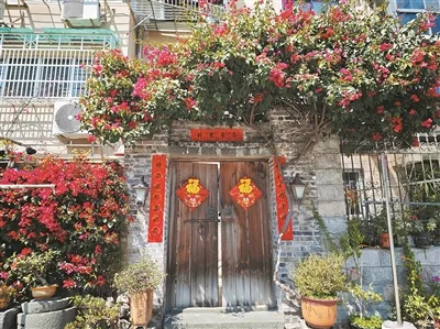 惊艳！街头“花瀑”“花墙”引市民争相打卡