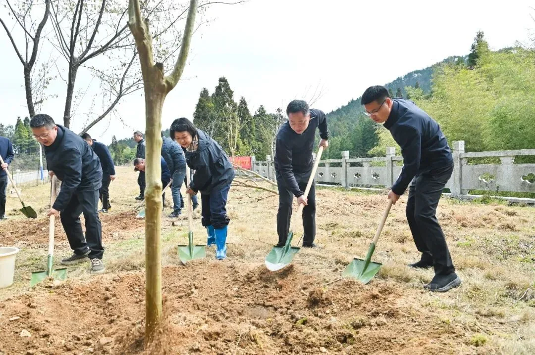 文成县四套班子领导参加义务植树活动