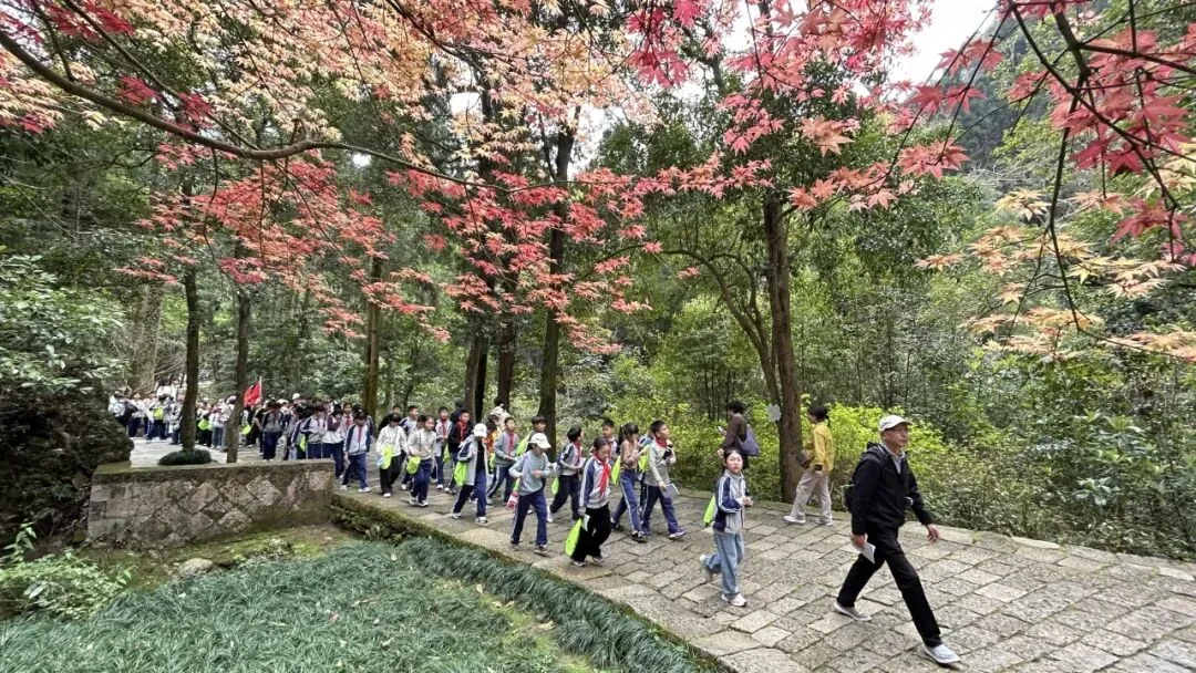 清明假期首日 温州这里迎客5.25万人次！