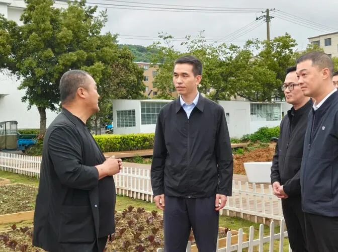 苍南县委书记张本锋调研重点村组团发展和重点项目建设等工作