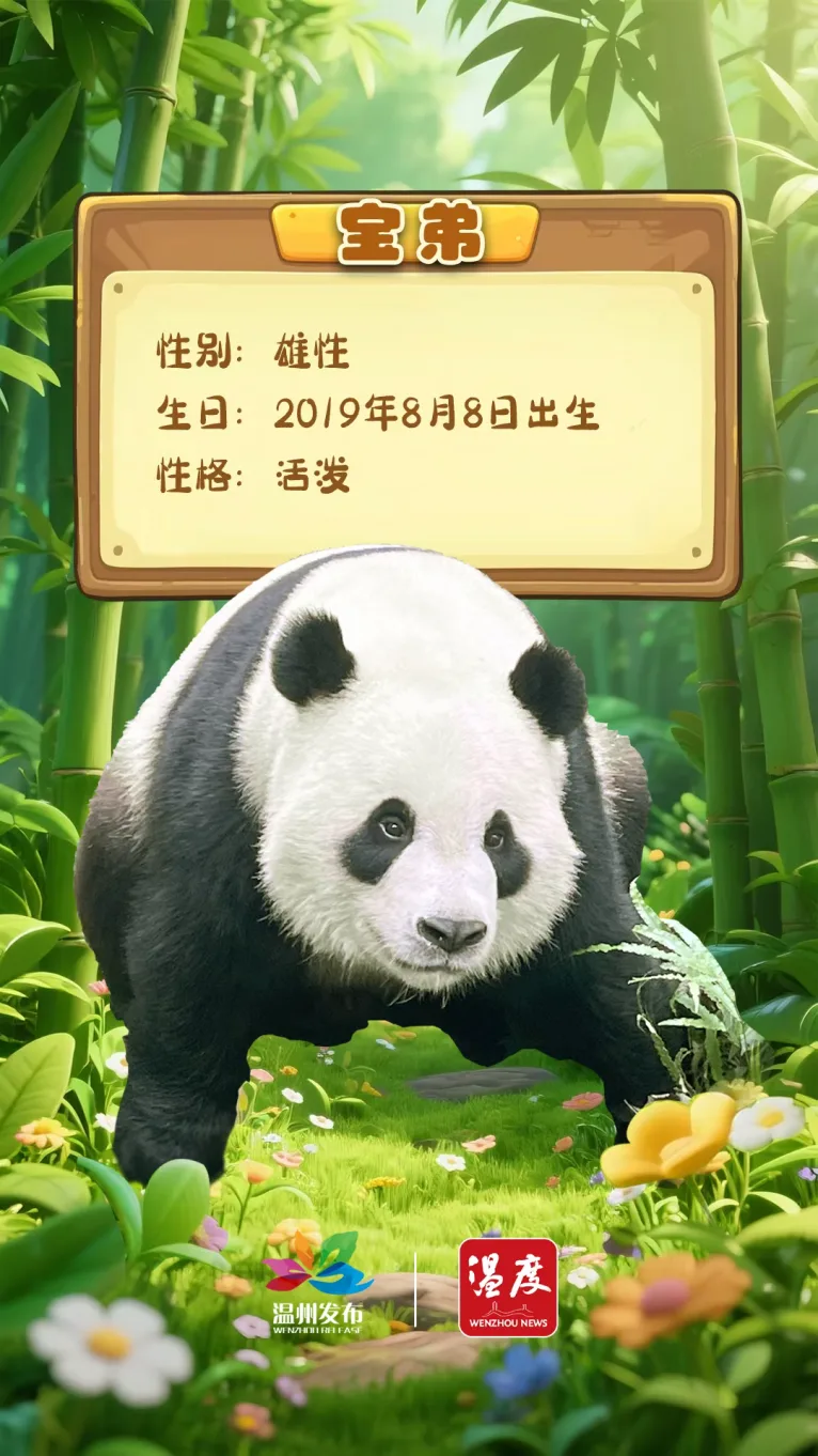 凭来温机票免费看大熊猫！还有这些福利→