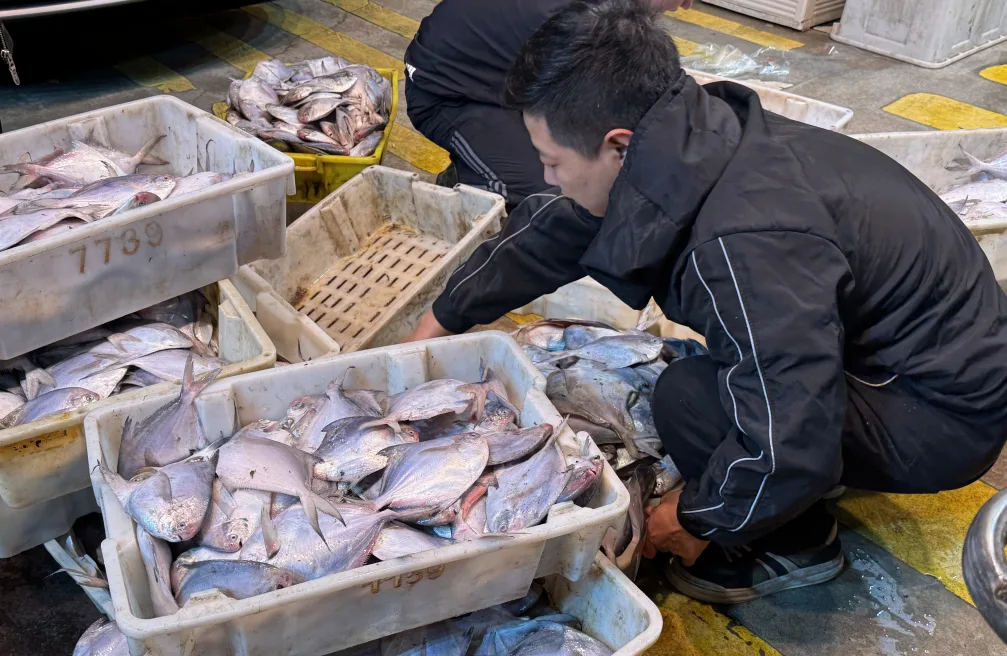 东海伏季休渔进入倒计时 温州水产海鲜量足价稳
