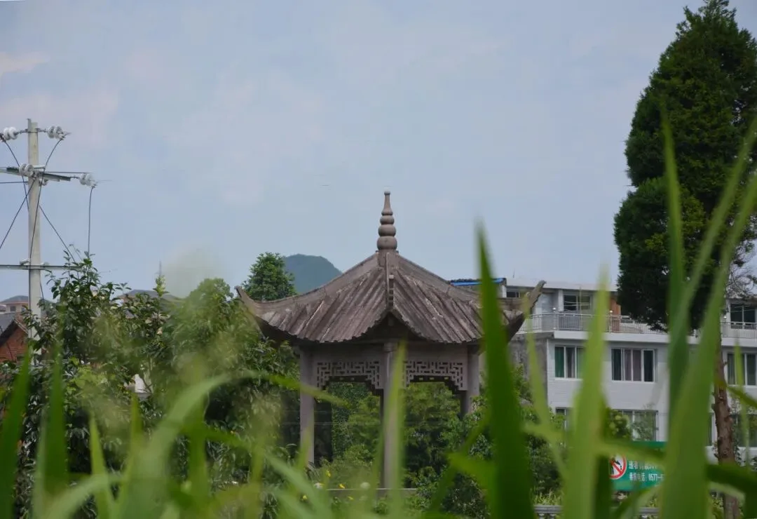 留学、从政、考古……文成一村落家族三代人的传奇“开挂”路！