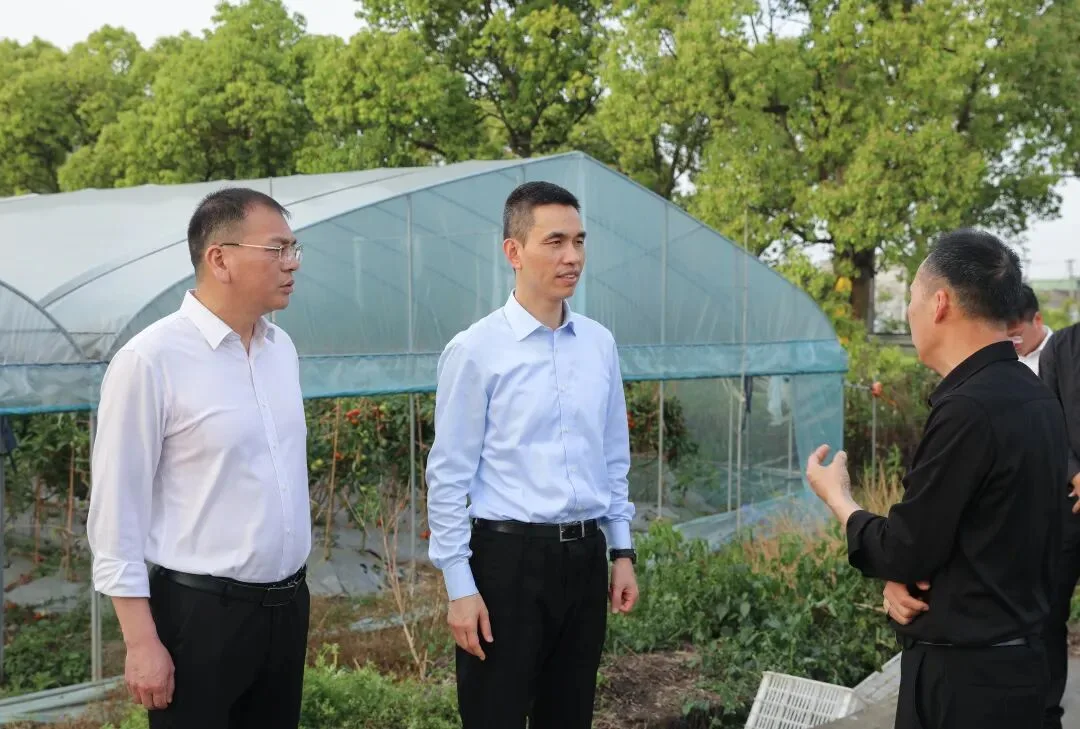 苍南县委书记张本锋开展节前安全检查及乡镇调研