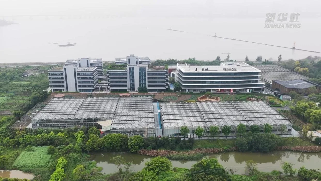 新华网：浙江温州：电力护航智慧农业 助力春耕跑出“加速度”