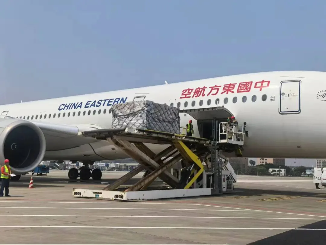 温州空港打通欧洲冷冻水产跨境冷链通道 浙产冻鲭鱼 “飞”上西班牙餐桌