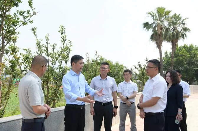 龙港市委书记林海涵督查美丽田园建设、水环境治理暨河长制工作