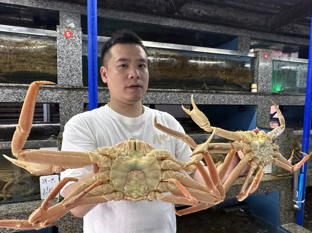 进口松叶蟹大幅降价 温州市民吃海鲜有口福咯！