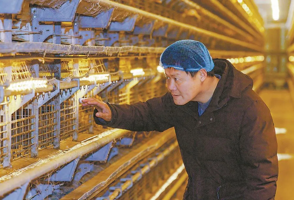 永泰蛋品畅销国内外 经济