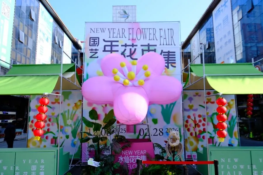 新春走基层｜“花式热闹”！逛完花市，我们发现花是……