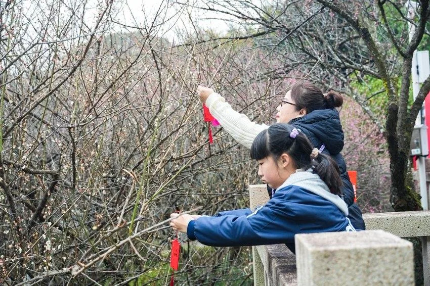新春走基层｜新春榕城文旅持续火爆 福州跻身全国热门目的地
