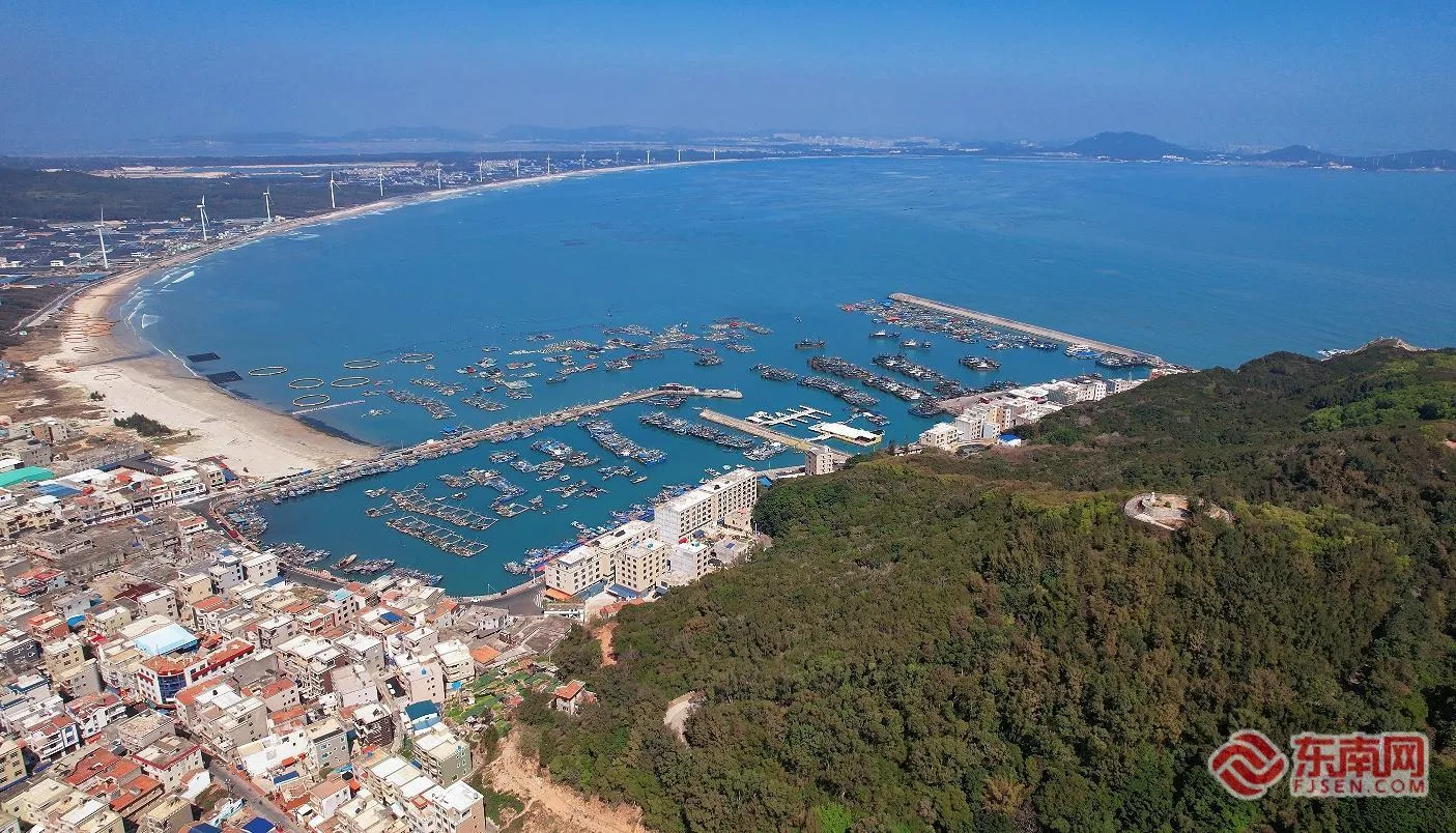 大海赶好|在澳角村，写新时代“海文章”