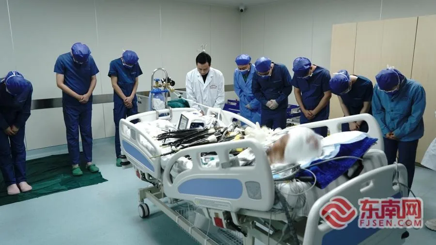 吉隆坡小伙在闽捐献器官和角膜 挽救5名中国患者