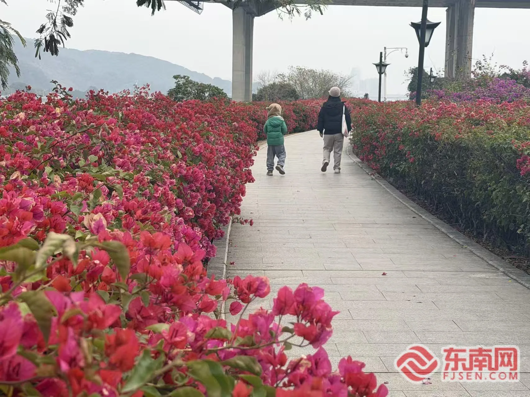 福建清明旅游市场火爆：非遗体验打造“山海课堂”