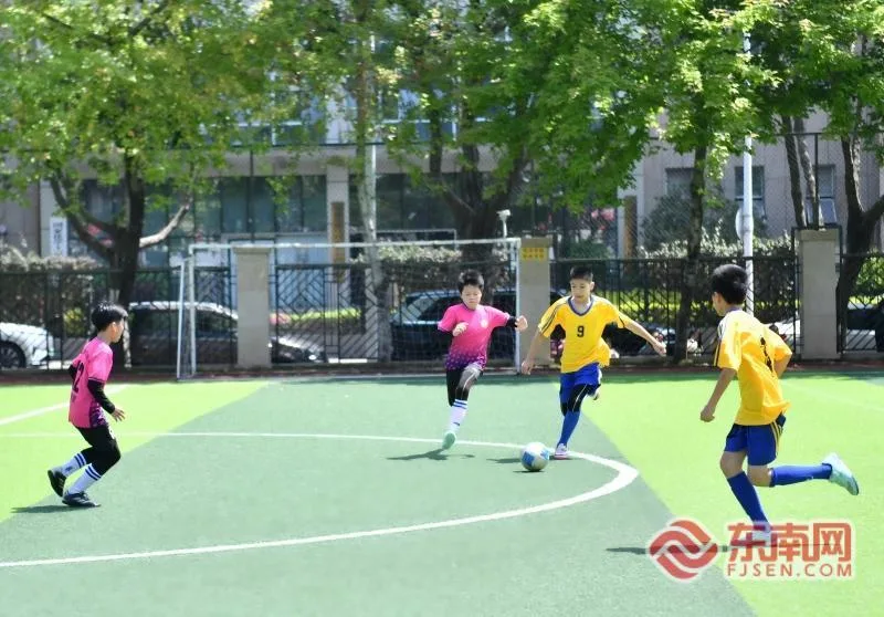 身上有汗、眼里有光 在校园绿茵场他们这样诠释“健康第一”