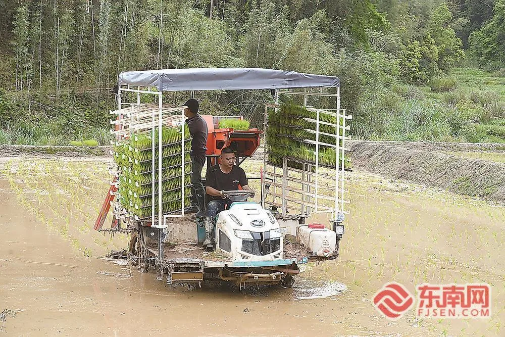 供销农场：将新质生产力融入春耕备耕 经济
