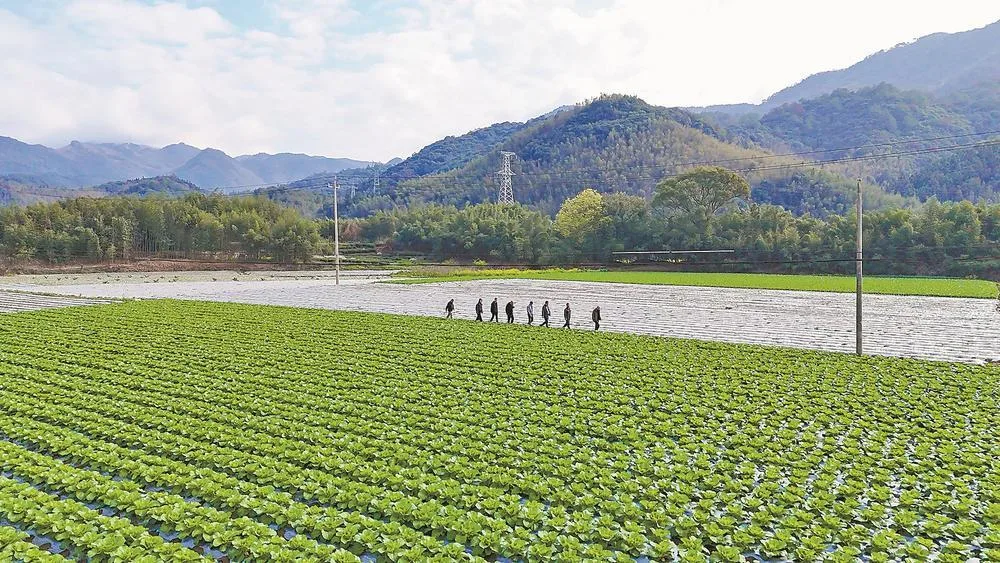 南平：好山好水种好味 民生