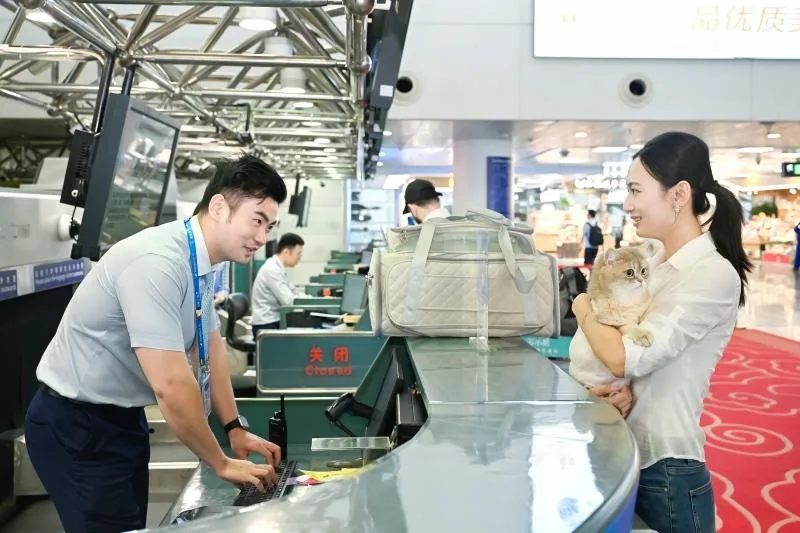 五一假期“毛孩子”出行指南来了！可进飞机客舱