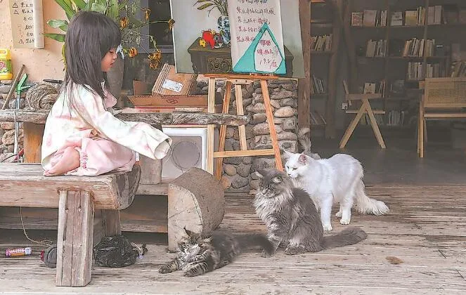 带着“毛孩子”去乡村 旅游