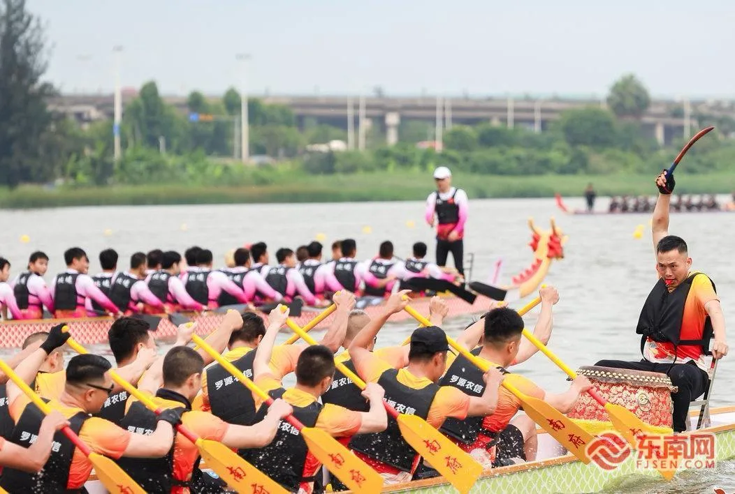 福水竞渡迎端午 2026罗源湾海上龙舟村超邀请赛举办