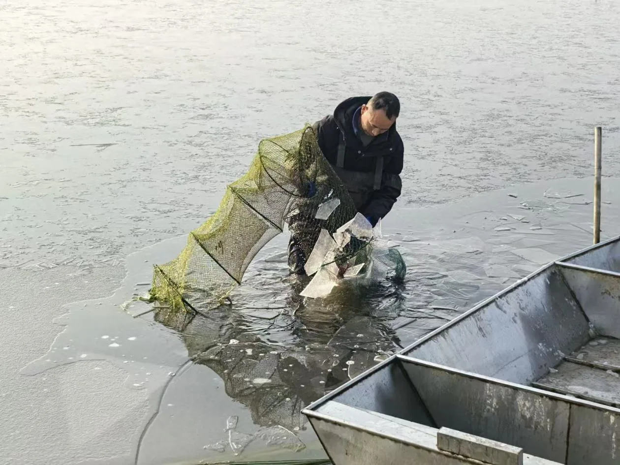 新春走基层|“夏日限定”变身春节“网红”