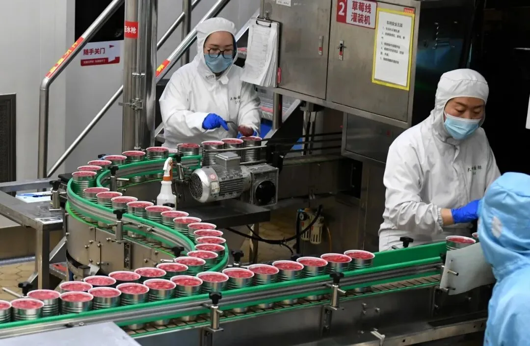 “十五五”首个中央一号文件，释放哪些新信号？