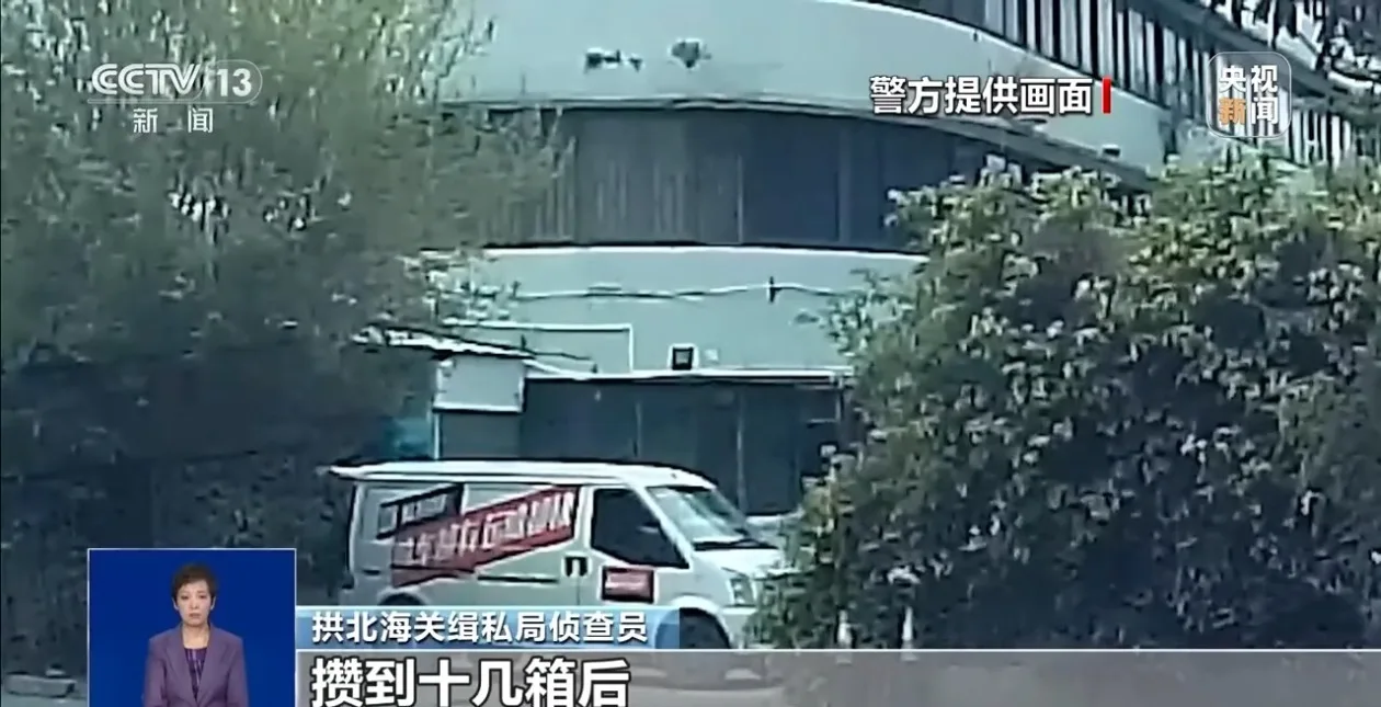 案值超5亿！海关揭秘团伙“蚂蚁搬家”式走私高档酒