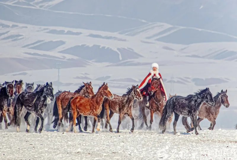 挚爱人间一抹红——追记实干为民的好干部贺娇龙