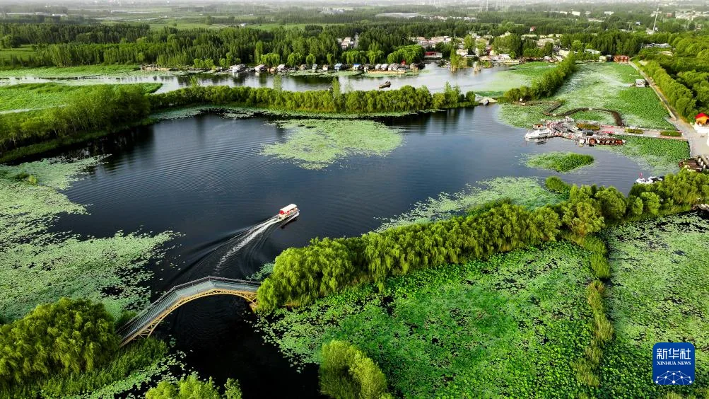 镜观中国丨立生态环境法典 谱美丽中国新篇