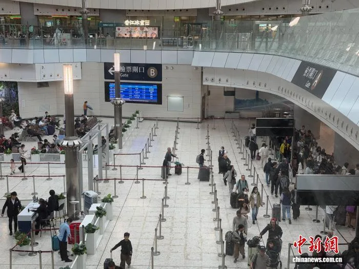 广深港高铁跨境客流过亿背后：日常往来见证湾区融合