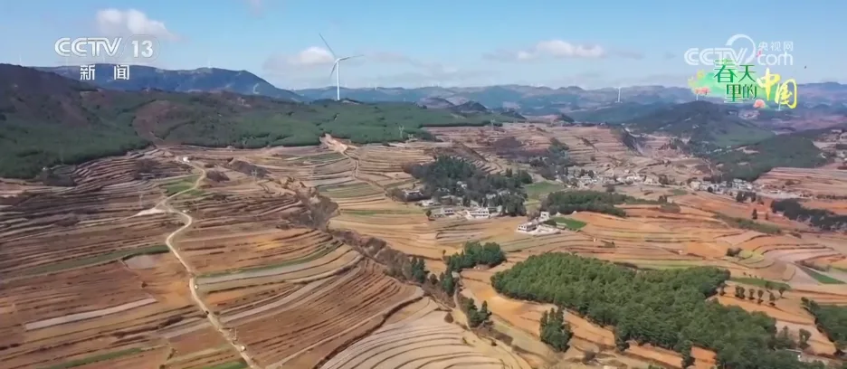 科技赋能唱“主角” 千里沃野奏响春耕春管 “奋进曲”