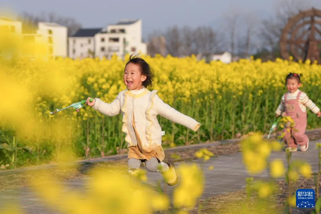 浙江桐庐：春拂江村 油菜花开