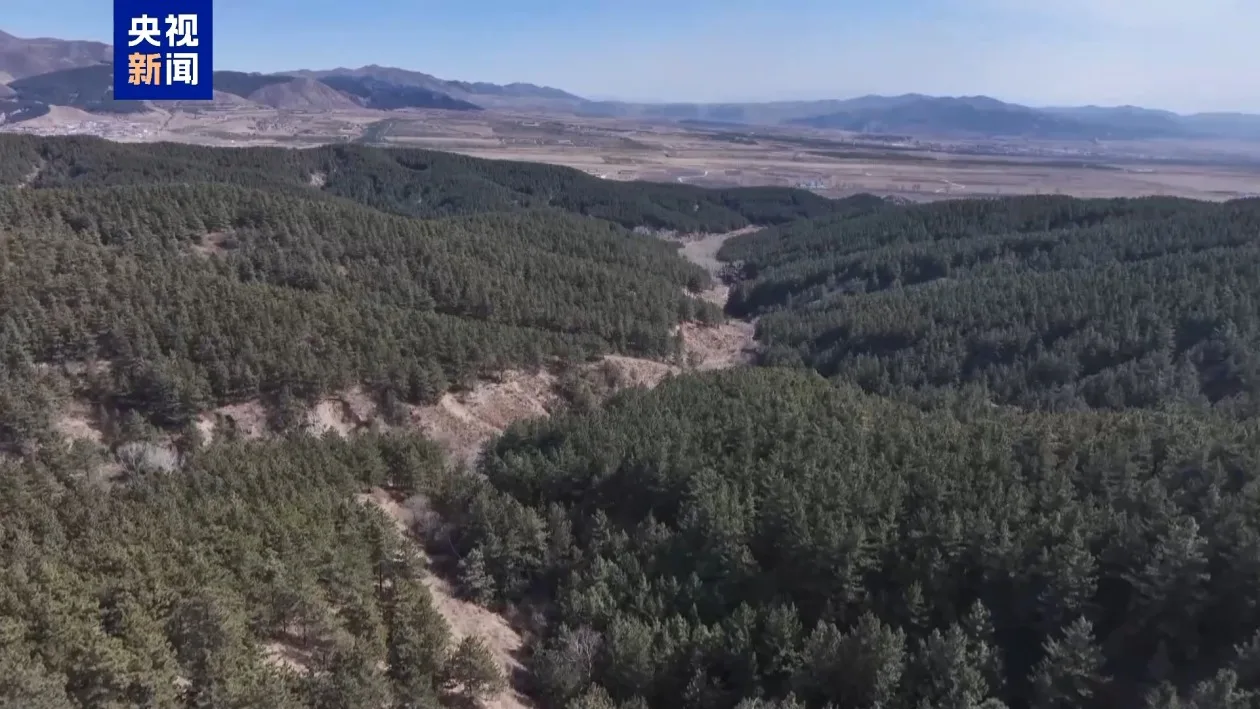 内蒙古发布2026年森林草原防灭火命令 明确防火期划分