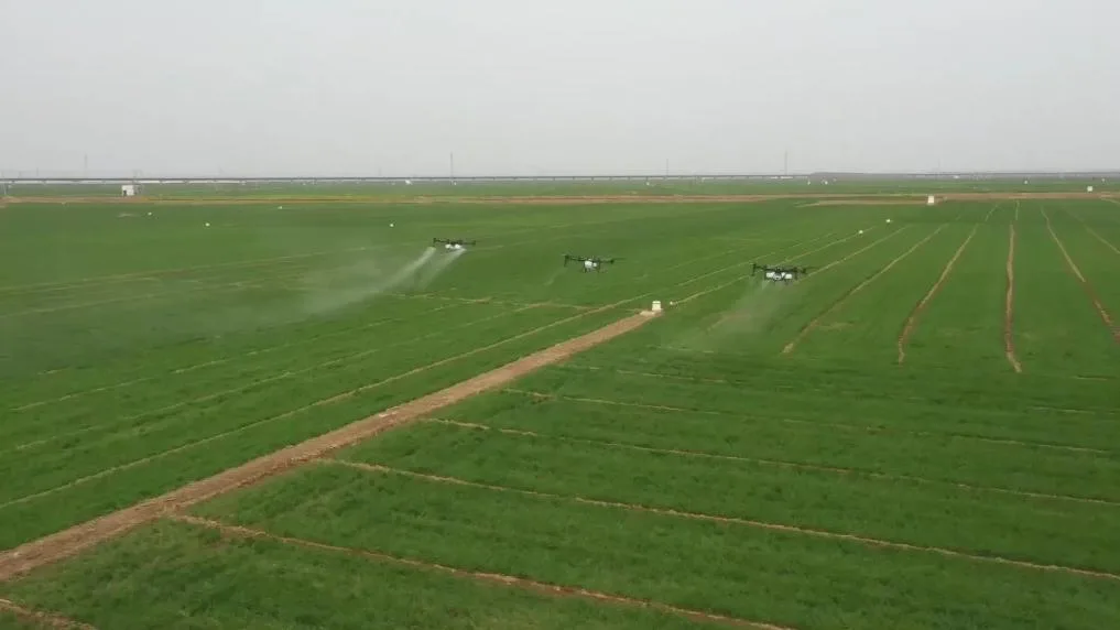 新华视点丨春耕一线扫描：精准施策 向新提质