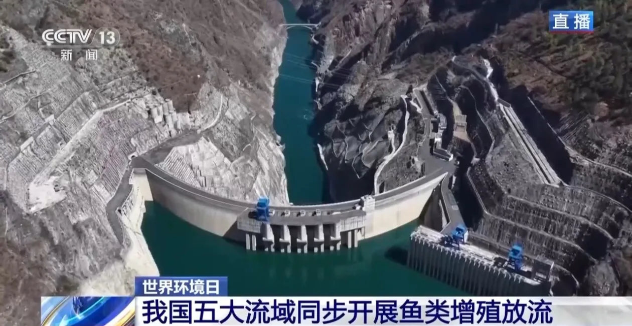 五大流域开展增殖放流 生态鱼道助力珍稀鱼类洄游