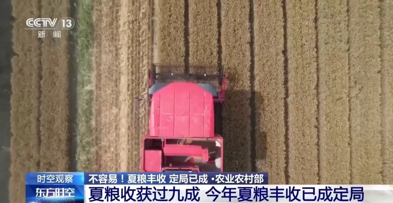 全国夏粮收获过九成 这场丰收保卫战是如何打赢的？